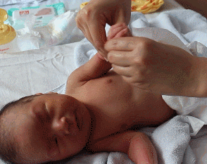 11.gif