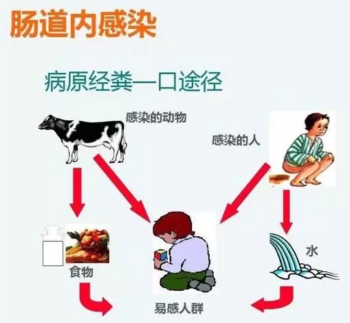 下载 (32).jpg